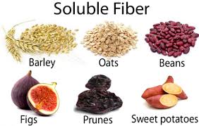 Fiber Or Roughage In The Diet Usually Comes From 2