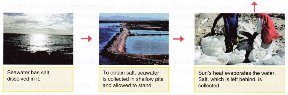 salt-from-seawater