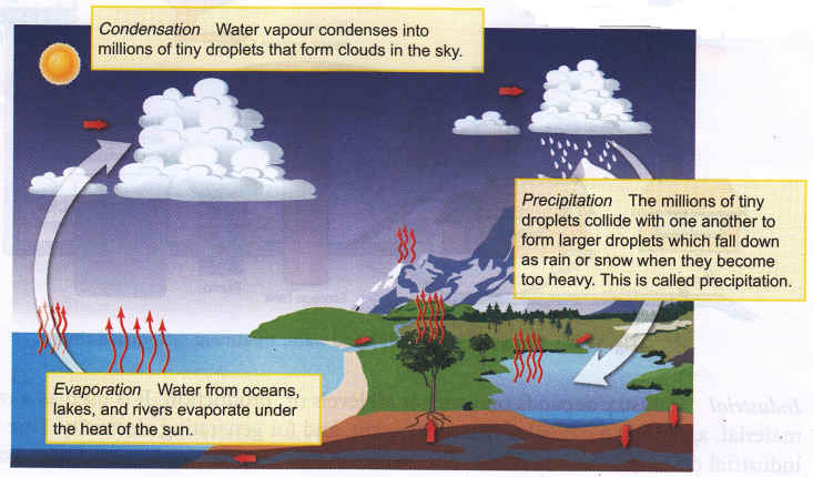 What Are The Different Forms Of Water 3