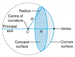 What are Concave and Convex Mirrors 2