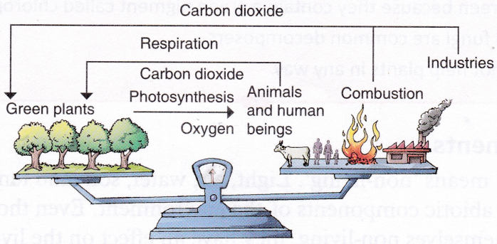 What is an Abiotic Component 2
