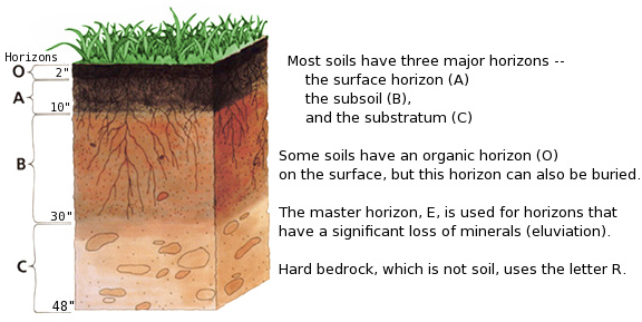 Which Materials Make up the A Horizon in Soil 1