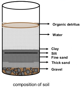 Which Materials Make up the A Horizon in Soil 2