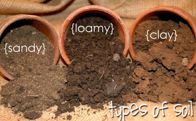 different-types-soil