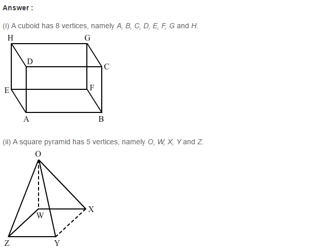 Three Dimensional Shapes RS Aggarwal Class 8 Maths Solutions Ex 19A 3.1