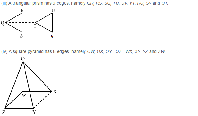 Three Dimensional Shapes RS Aggarwal Class 8 Maths Solutions Ex 19B 2.2