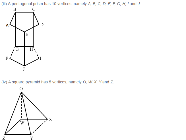 Three Dimensional Shapes RS Aggarwal Class 8 Maths Solutions Ex 19B 4.2