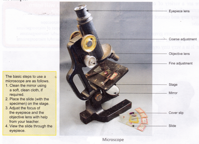 What Is The Main Function Of The Microscope 1