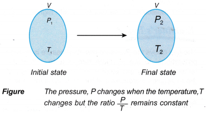 Gay Lussacs Law Gas Pressure and Temperature Relationship 2
