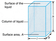 Understanding Pressure in Liquids 4