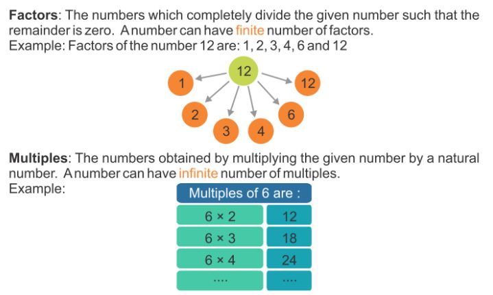 Finding Factors And Multiples 1