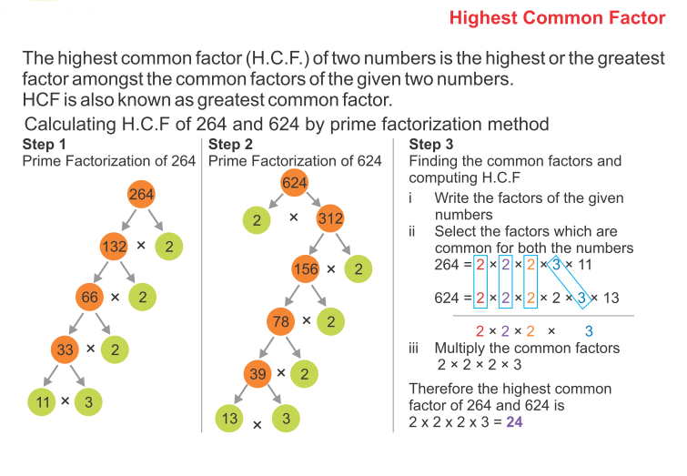 How to Find The Prime Factors Using Factor Tree 8