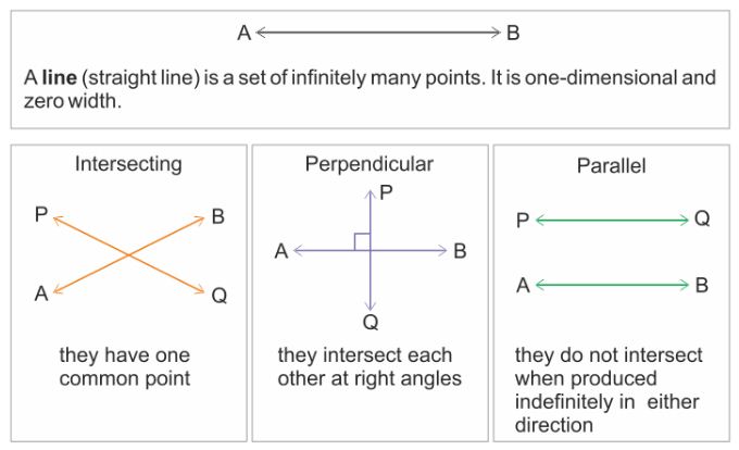 Parallel And Perpendicular Lines Cbse Library