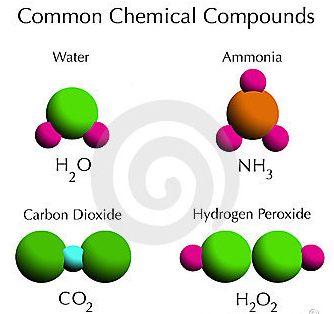 What are the Characteristics of Compound 1