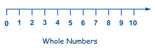 Whole Numbers On A Number Line 1