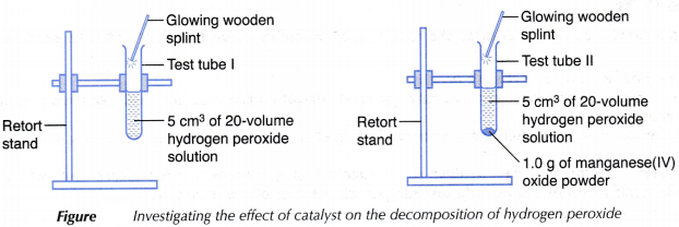 What is the effect of a catalyst on the rate of a reaction 2