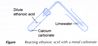 How are carboxylic acids formed 24