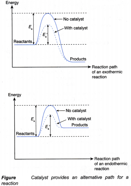 How does the collision theory affect the rate of reaction 5