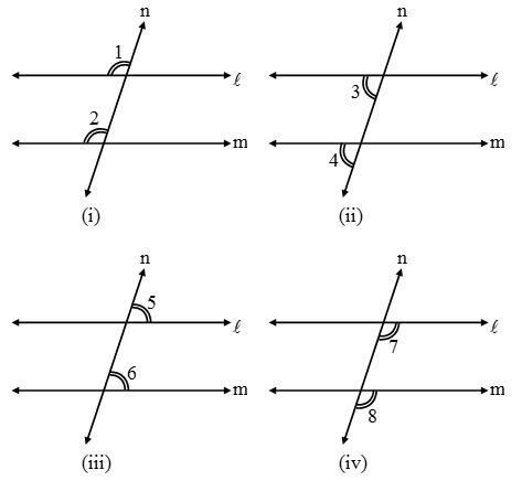 What are Parallel lines and Transversals 5