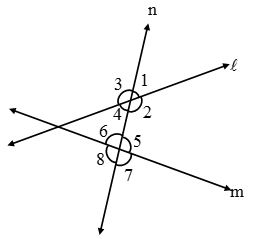 What are Parallel lines and Transversals 8