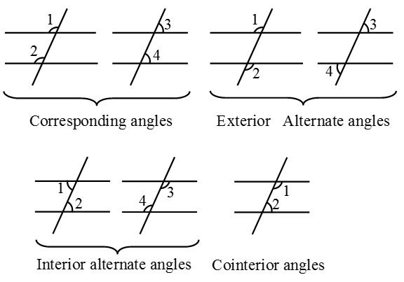 What are Parallel lines and Transversals 9