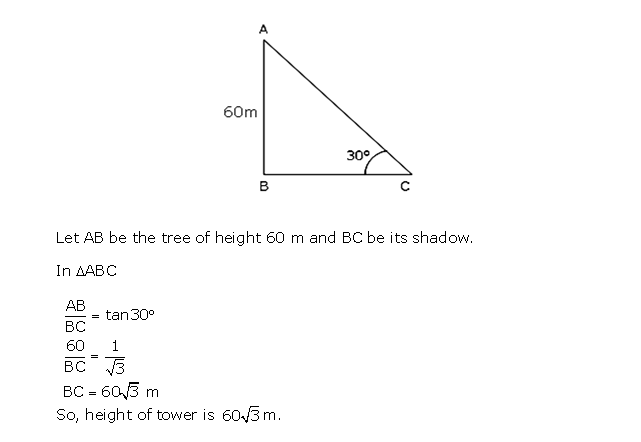 Frank ICSE Solutions for Class 10 Maths Heights and Distances Ex 22.1 6