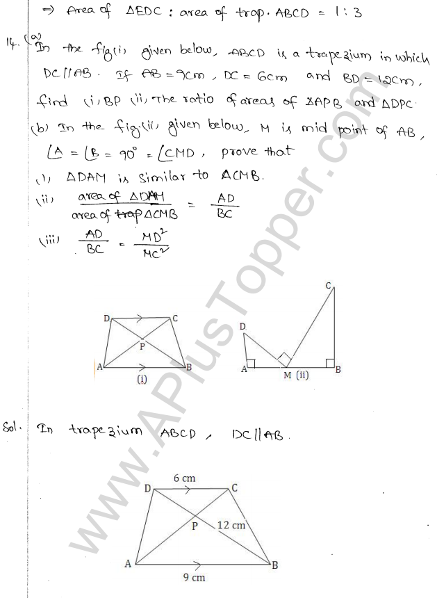 ML Aggarwal ICSE Solutions for Class 10 Maths Chapter 14 Similarity Q1.17