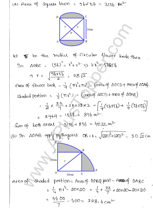 ML Aggarwal ICSE Solutions for Class 10 Maths Chapter 18 Mensuration Q1.19