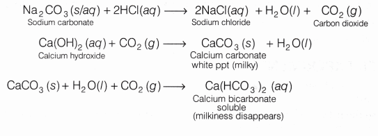 CBSE Class 10 Science Lab Manual – Properties of Acids and Bases 3