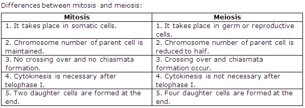 Frank ICSE Class 10 Biology Solutions - Cell Division 4