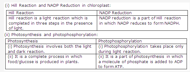 Frank ICSE Class 10 Biology Solutions - Photosynthesis 3