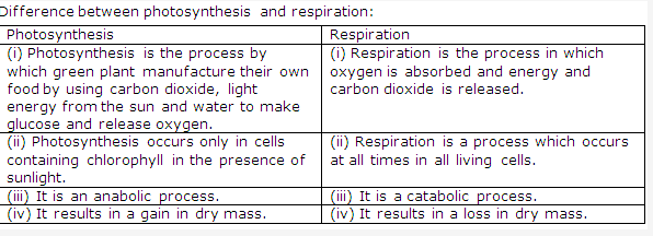 Frank ICSE Class 10 Biology Solutions - Photosynthesis 4