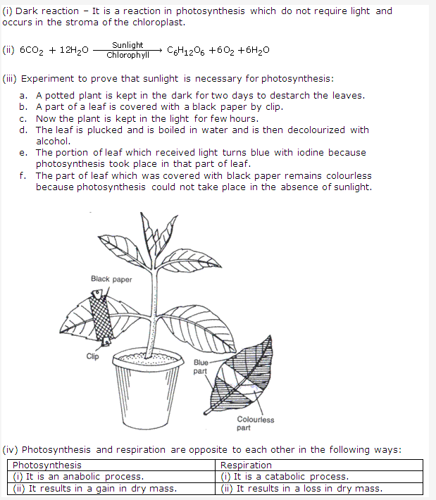 Frank ICSE Class 10 Biology Solutions - Photosynthesis 5