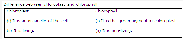 Frank ICSE Class 10 Biology Solutions - Photosynthesis 8