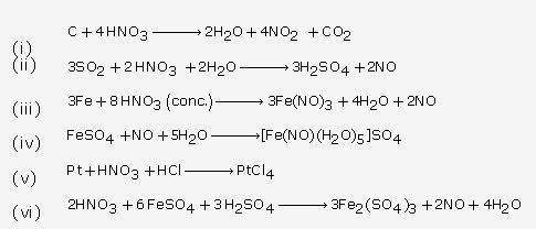 Frank ICSE Solutions for Class 10 Chemistry - Nitric acid 19