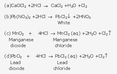Frank ICSE Solutions for Class 10 Chemistry - Study of Compounds-I Hydrogen Chloride 29