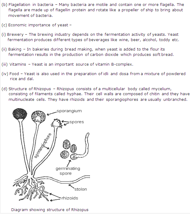 Frank ICSE Solutions for Class 9 Biology - Bacteria and Fungi Their Importance 3