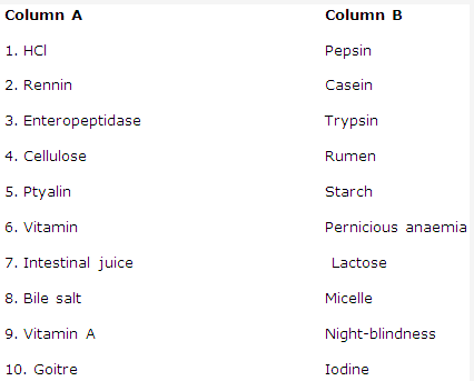 Frank ICSE Solutions for Class 9 Biology - Digestive System 8