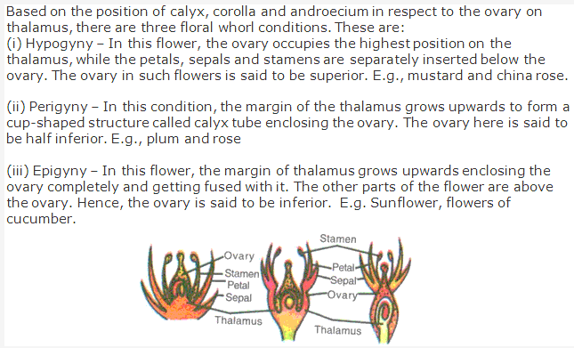 Frank ICSE Solutions for Class 9 Biology - Flowers 2