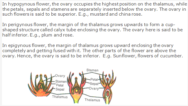 Frank ICSE Solutions for Class 9 Biology - Flowers 6
