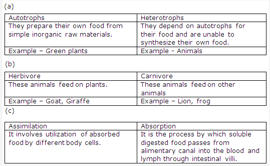 Frank ICSE Solutions for Class 9 Biology - Nutrition in Man 1
