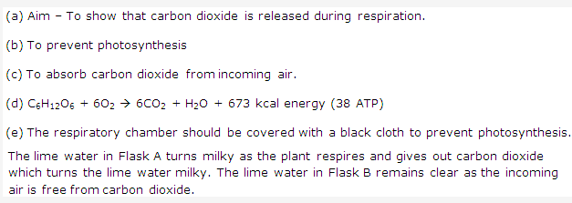Frank ICSE Solutions for Class 9 Biology - Respiration in Plants 4