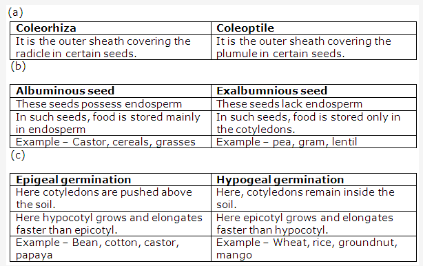 Frank ICSE Solutions for Class 9 Biology - Seeds Structure and Germination 1