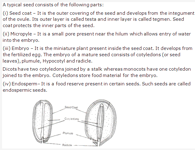Frank ICSE Solutions for Class 9 Biology - Seeds Structure and Germination 2
