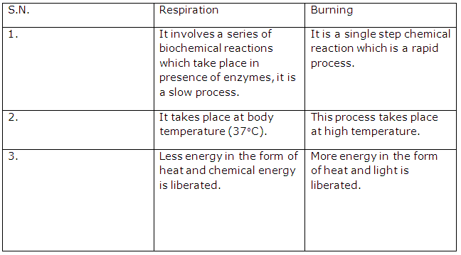 Frank ICSE Solutions for Class 9 Chemistry - Physical and chemical changes 14