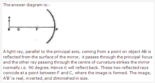 Frank ICSE Solutions for Class 9 Physics - Light Spherical Mirrors 10