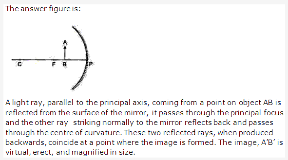 Frank ICSE Solutions for Class 9 Physics - Light Spherical Mirrors 11