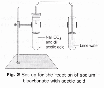 CBSE Class 10 Science Lab Manual – Properties of Acetic Acid 3