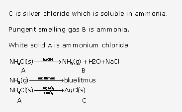 Frank ICSE Solutions for Class 10 Chemistry - Practical Work 8
