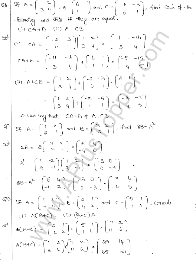 ML Aggarwal ICSE Solutions for Class 10 Maths Chapter 9 Matrices Q1.10
